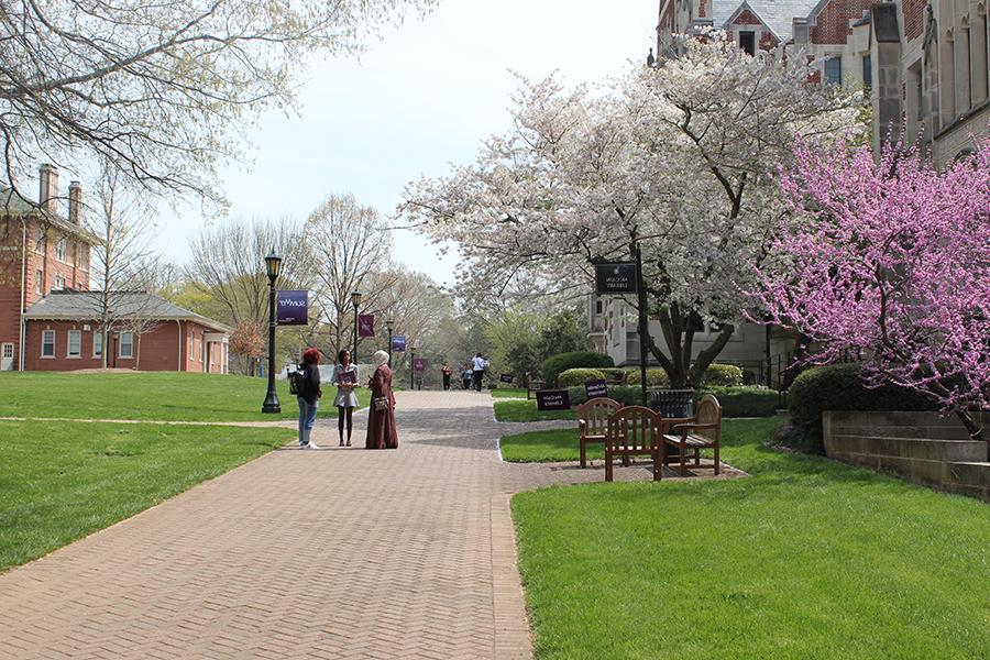 三个学生站在图书馆和盛开的粉红色树前的人行道上.